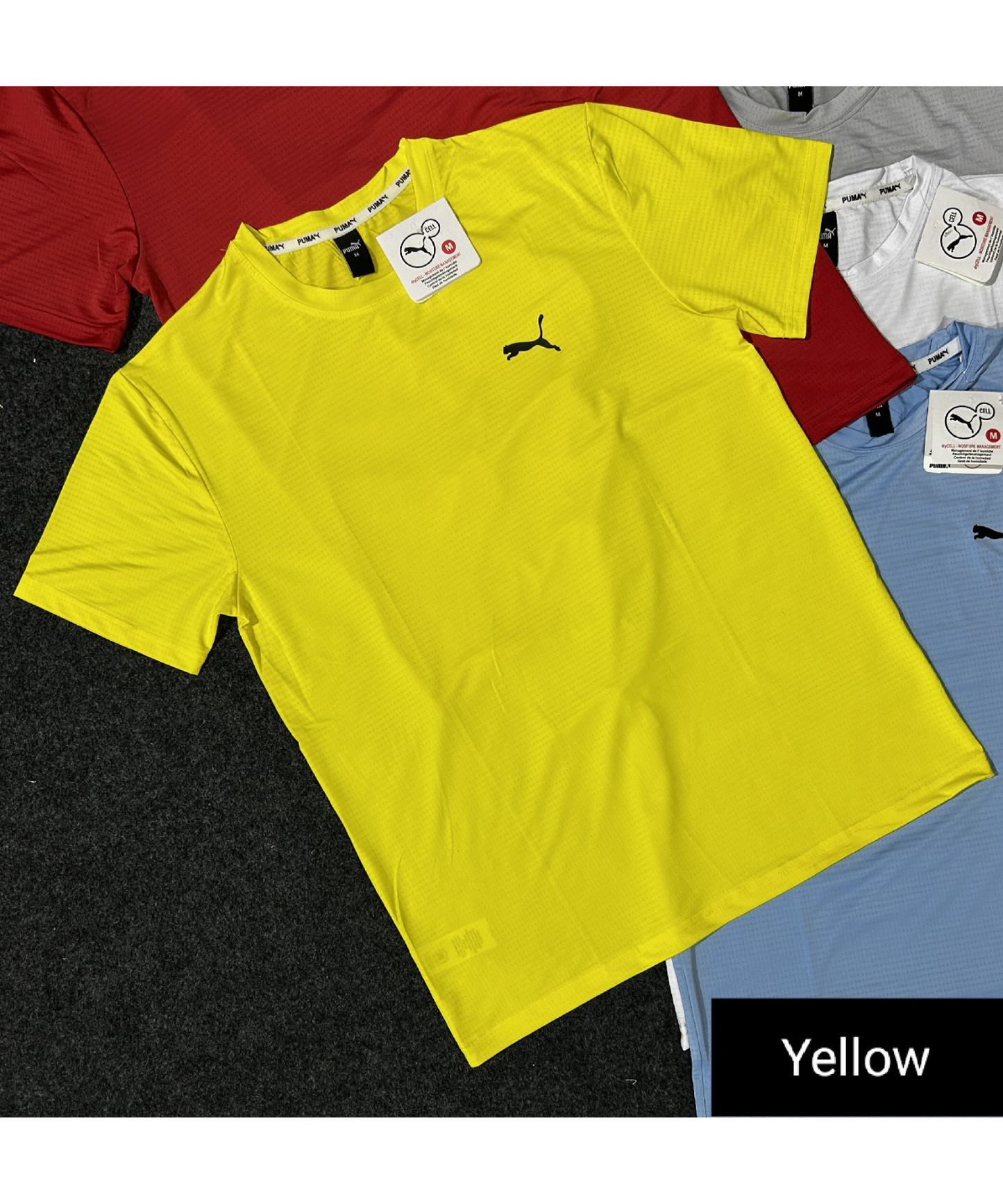 Nylon Lycra T-Shirts