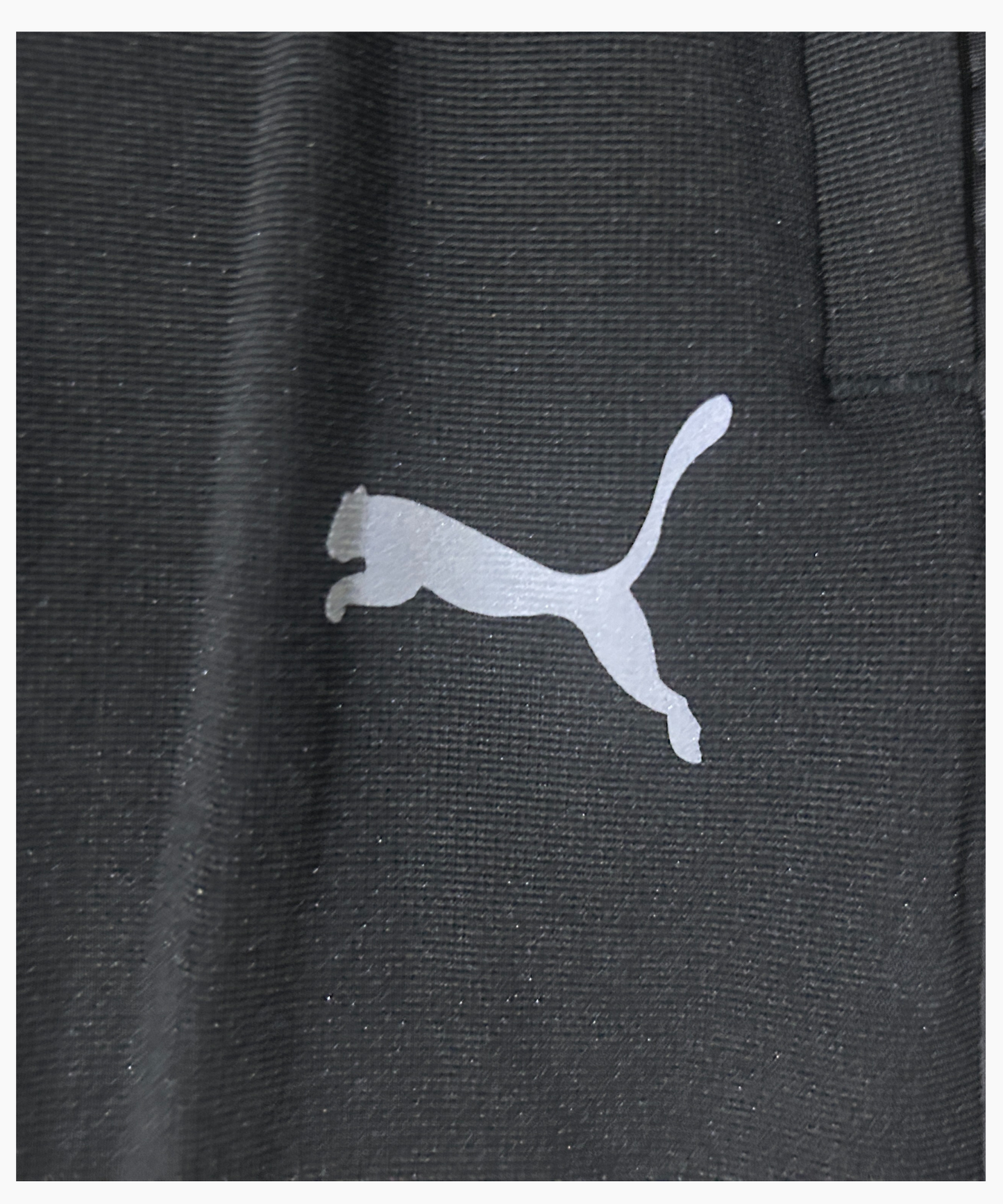 Imported Dobby Lycra Lower (GSM 280)