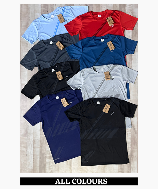 Imported Sarina Lycra T-Shirts (GSM 180)