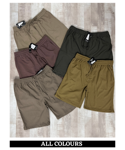Premium Assorted Casual Shorts | Regular Fit
