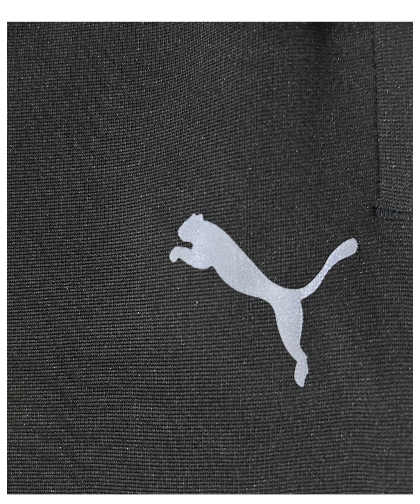 Imported Dobby Lycra Lower (GSM 280)